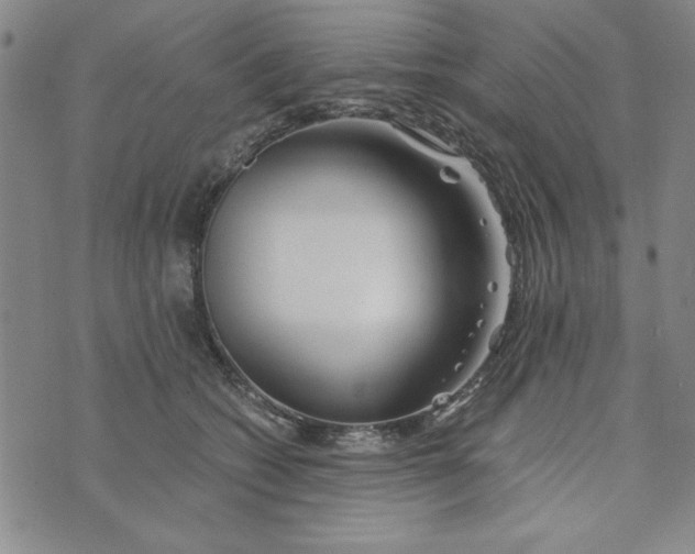 X0000076270562200610191742