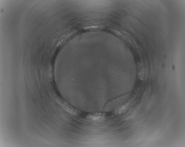 X0000076270563200610191742