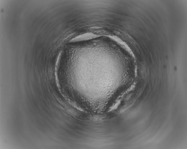 X0000076270565200610191742