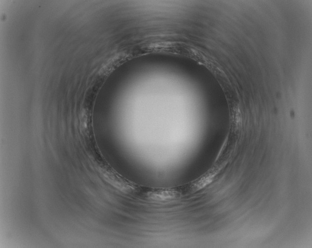 X0000076270567200610191742