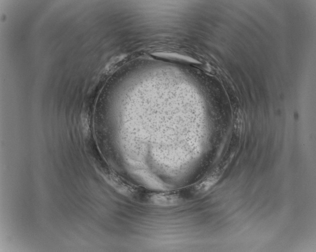 X0000076270568200610191742