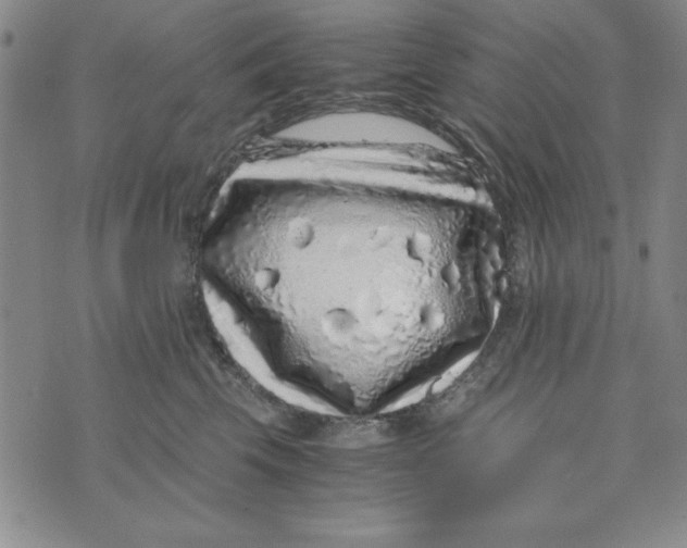 X0000076270569200610191742