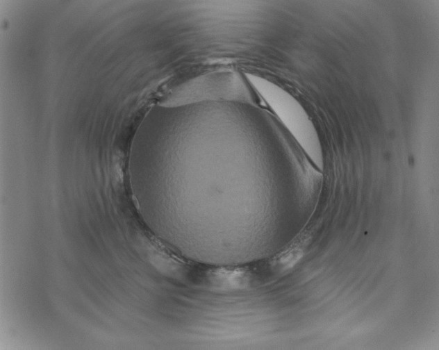 X0000076270570200610191742