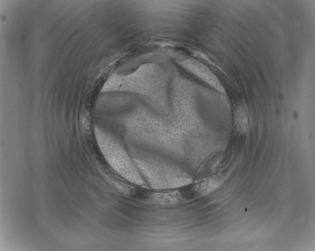 X0000076270571200610191742