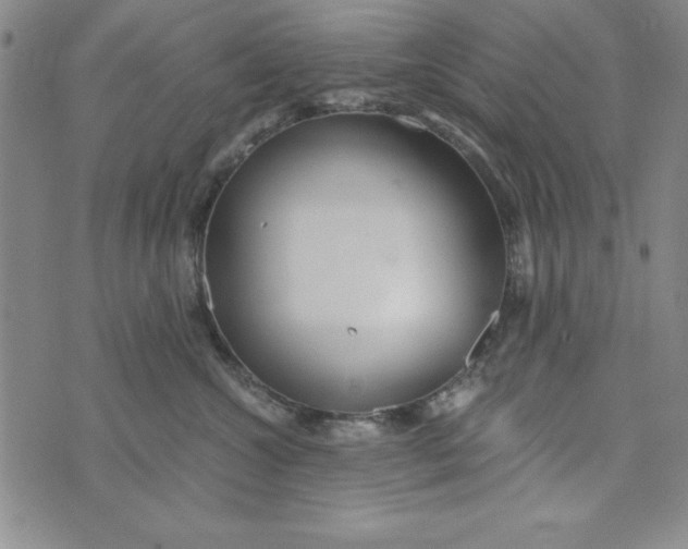 X0000076270572200610191742