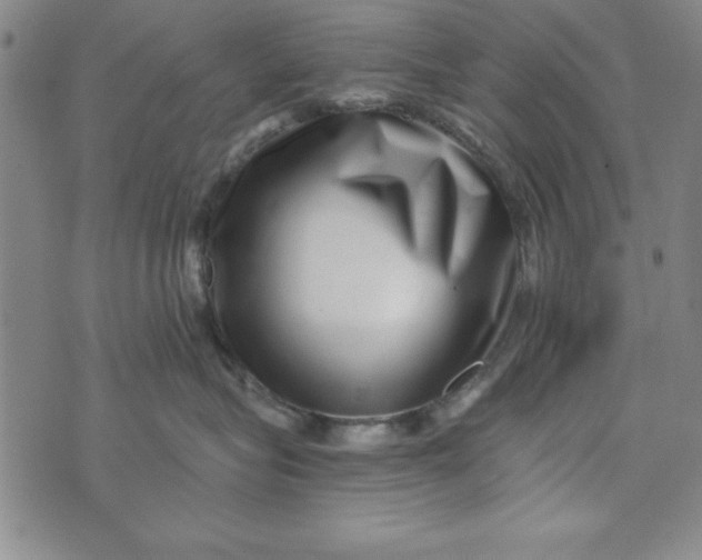 X0000076270575200610191742