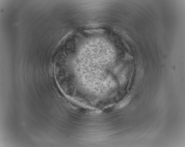 X0000076270576200610191742