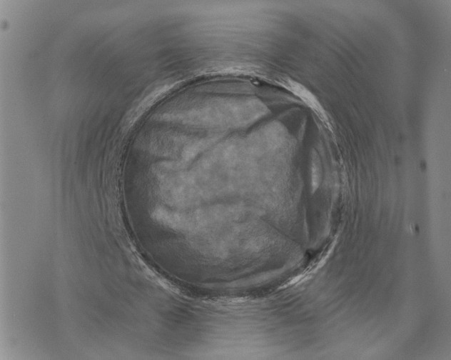 X0000076270577200610191742