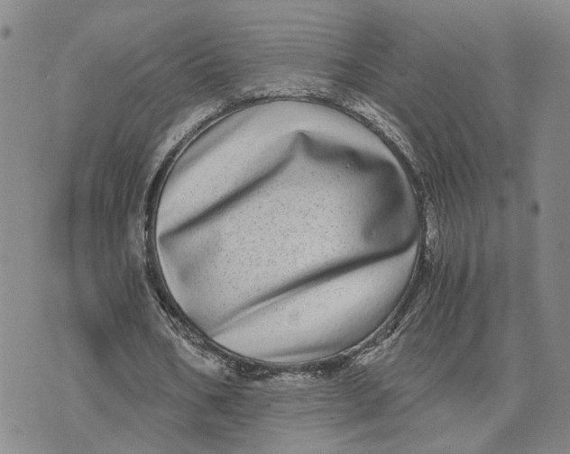 X0000076270578200610191742