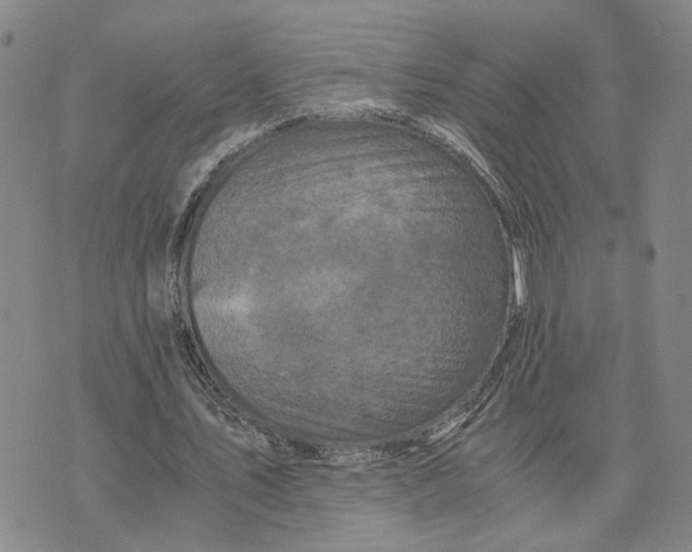 X0000076270579200610191742