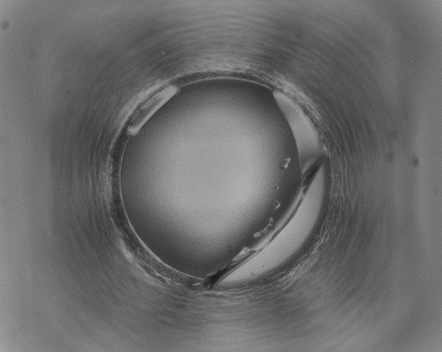 X0000076270580200610191742