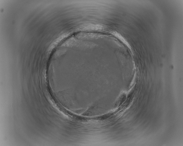 X0000076270581200610191742