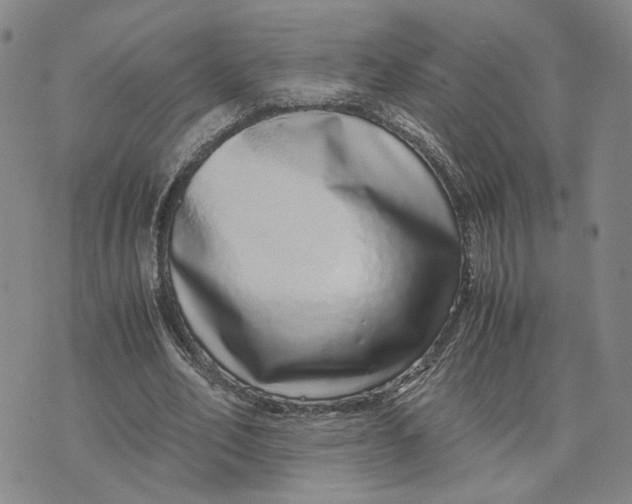 X0000076270582200610191742