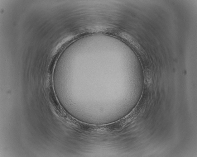 X0000076270583200610191741