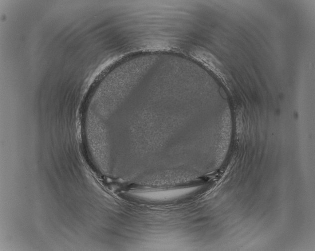 X0000076270584200610191741