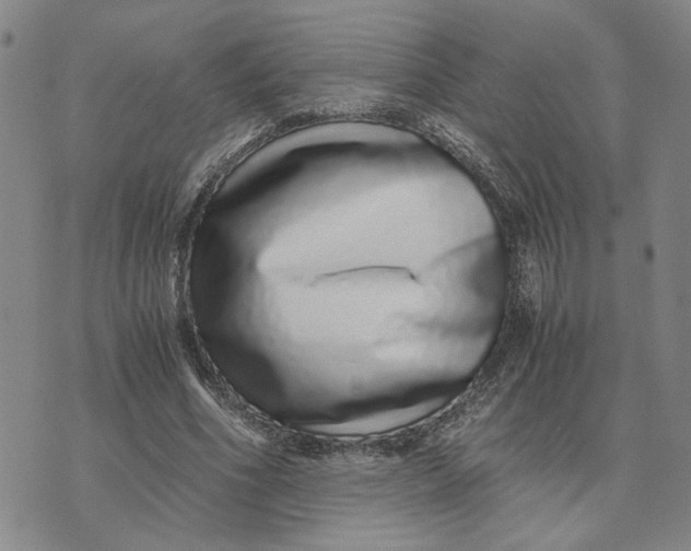 X0000076270586200610191741