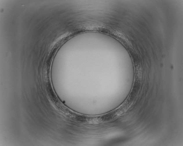 X0000076270587200610191741