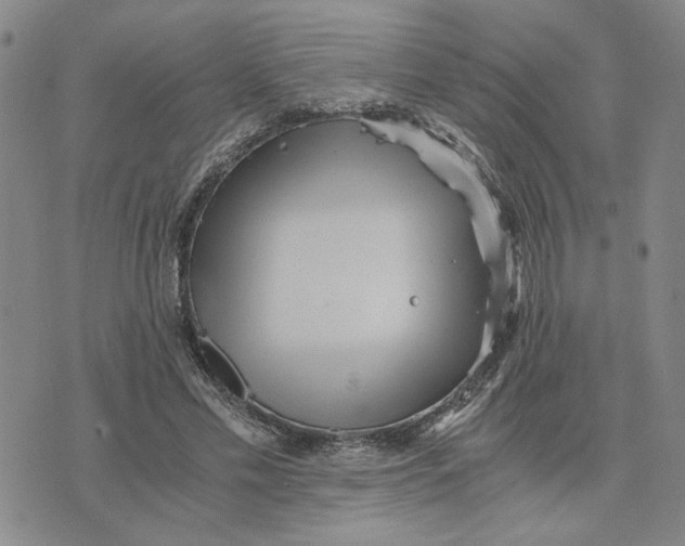 X0000076270589200610191741