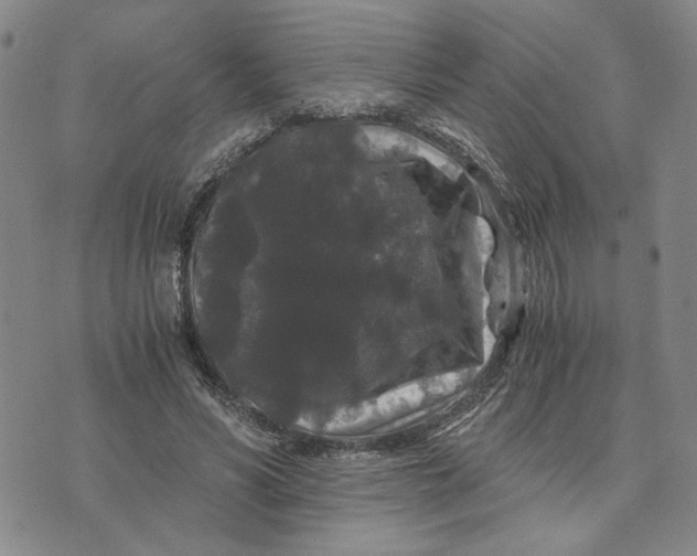 X0000076270590200610191741