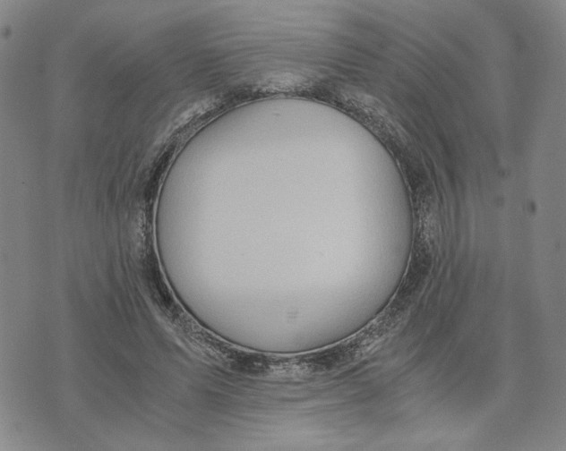 X0000076270591200610191741