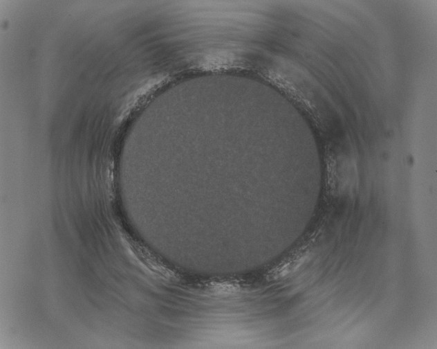 X0000076270592200610191741