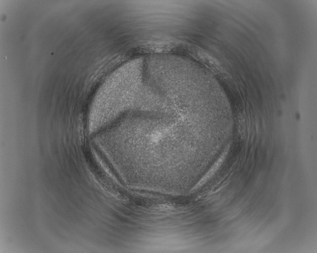 X0000076270594200610191741