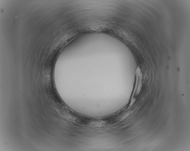 X0000076270595200610191741