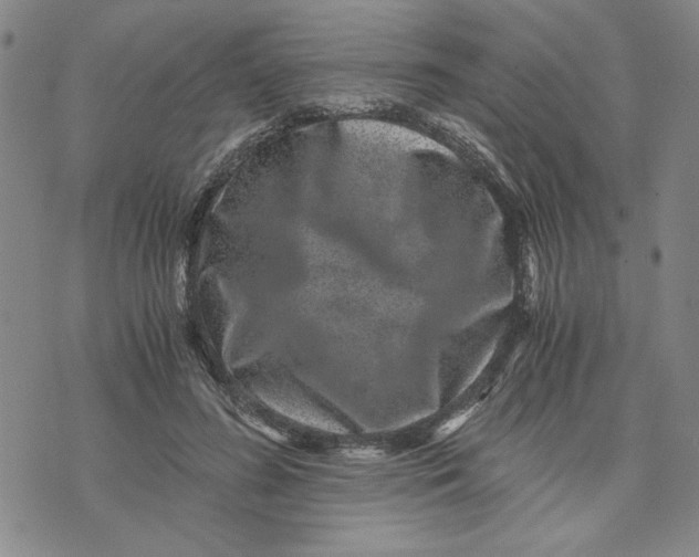 X0000076270596200610191741