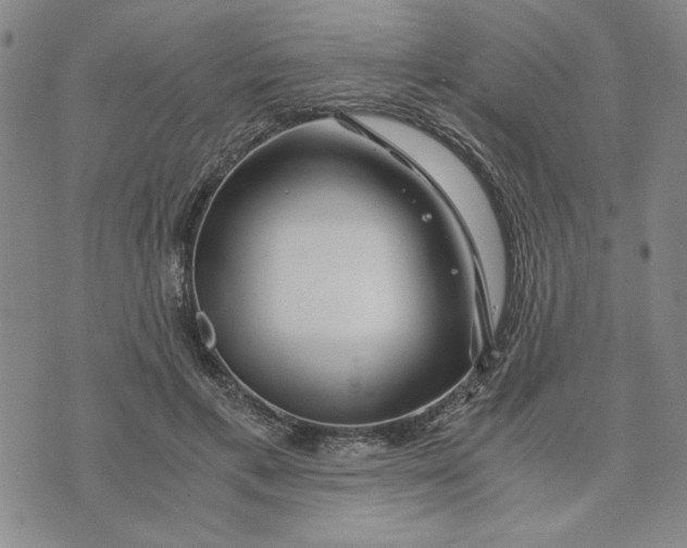 X0000076270597200610191741