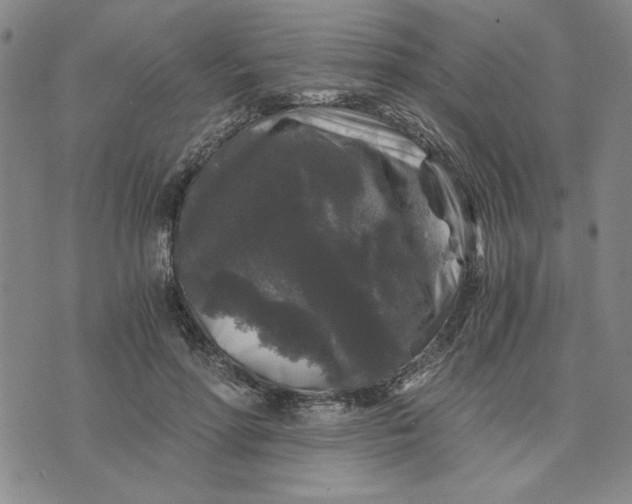 X0000076270598200610191741