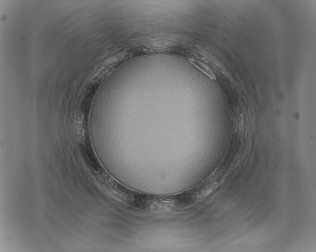 X0000076270599200610191741