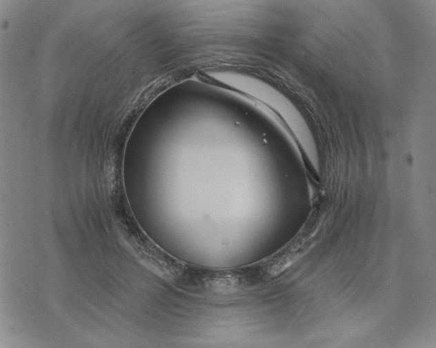 X0000076270600200610191741