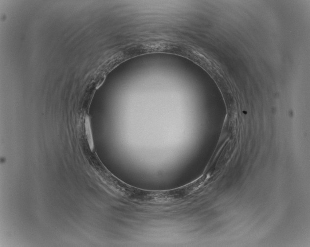 X0000076270601200610191741