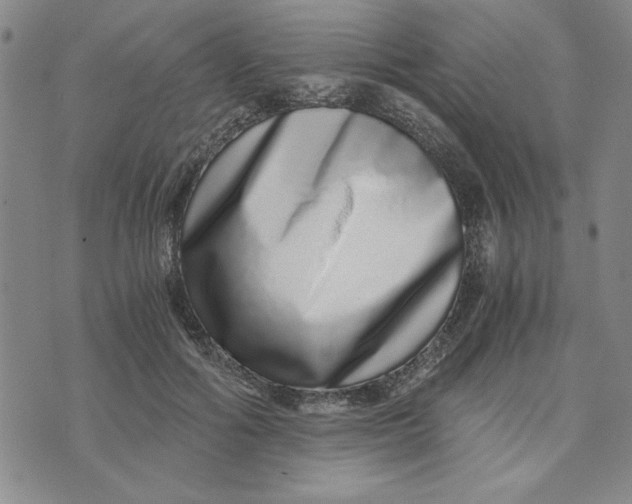 X0000076270602200610191741