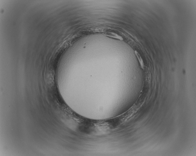 X0000076270603200610191741