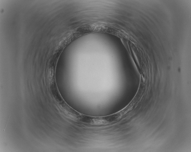 X0000076270605200610191741