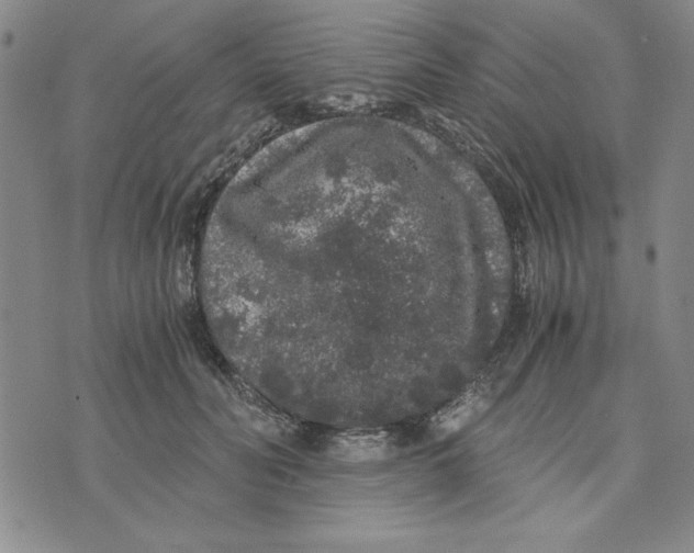 X0000076270606200610191741