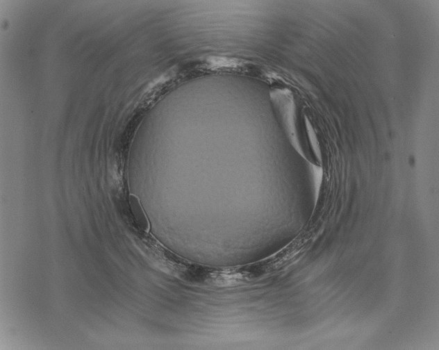 X0000076270607200610191741