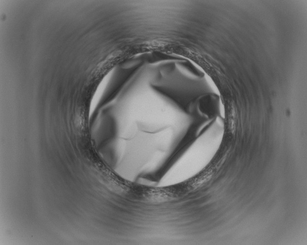 X0000076270608200610191741