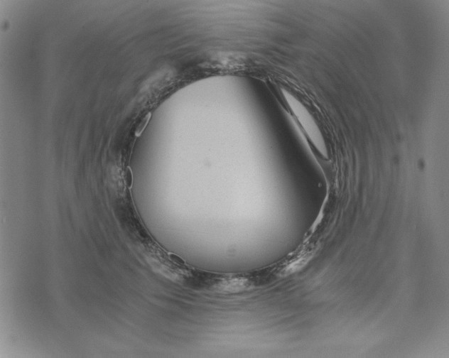 X0000076270609200610191741