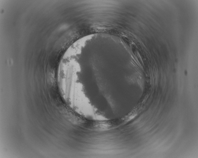 X0000076270610200610191741