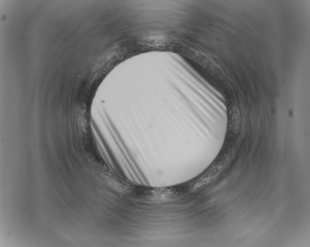 X0000076270612200610191741