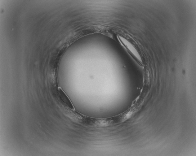 X0000076270613200610191741