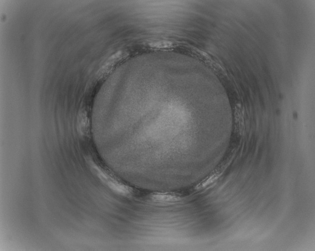 X0000076270614200610191741