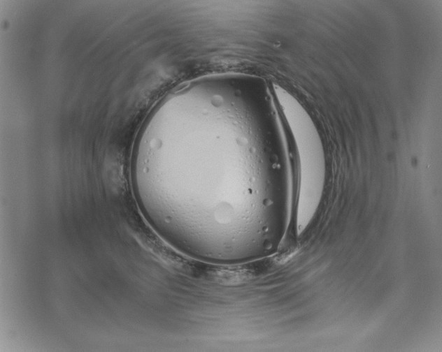 X0000076270615200610191741