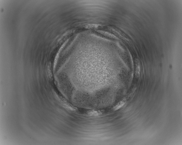 X0000076270616200610191741