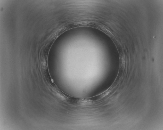 X0000076270617200610191741