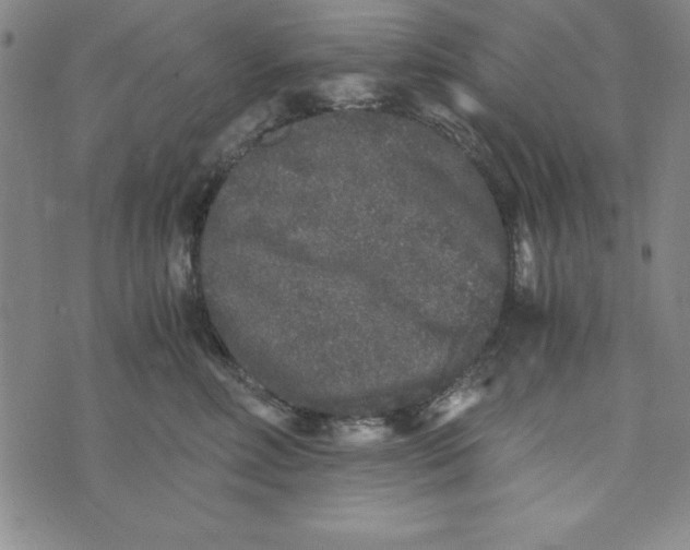 X0000076270618200610191741