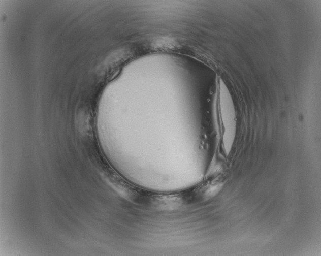 X0000076270619200610191741