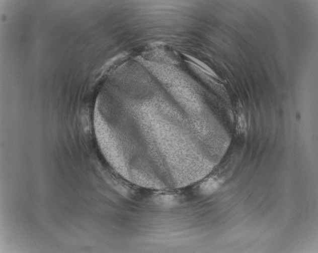 X0000076270620200610191741